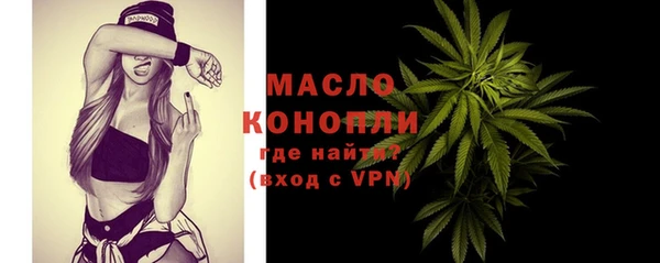 молекула духа Нягань