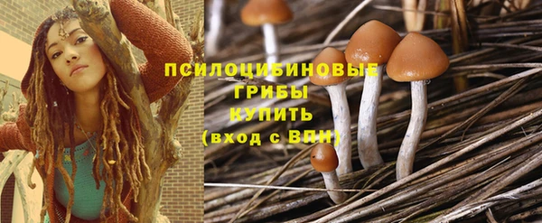 молекула духа Нягань
